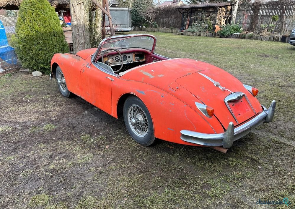 1959' Jaguar XK photo #3