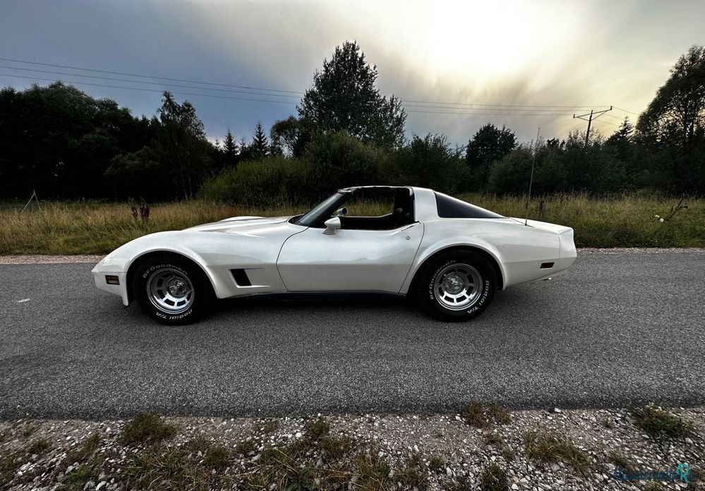 1980' Chevrolet Corvette photo #6