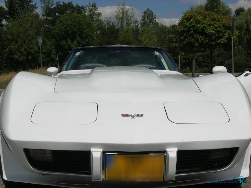 1977' Chevrolet Corvette photo #4