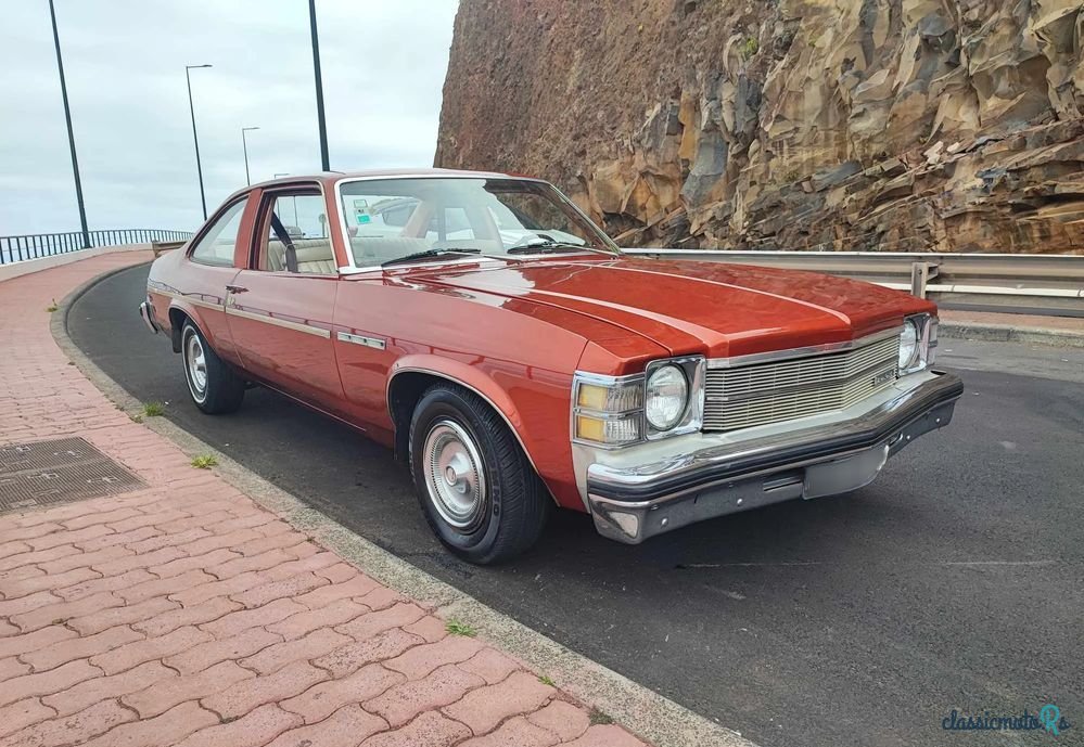 1976' Buick Skylark photo #4