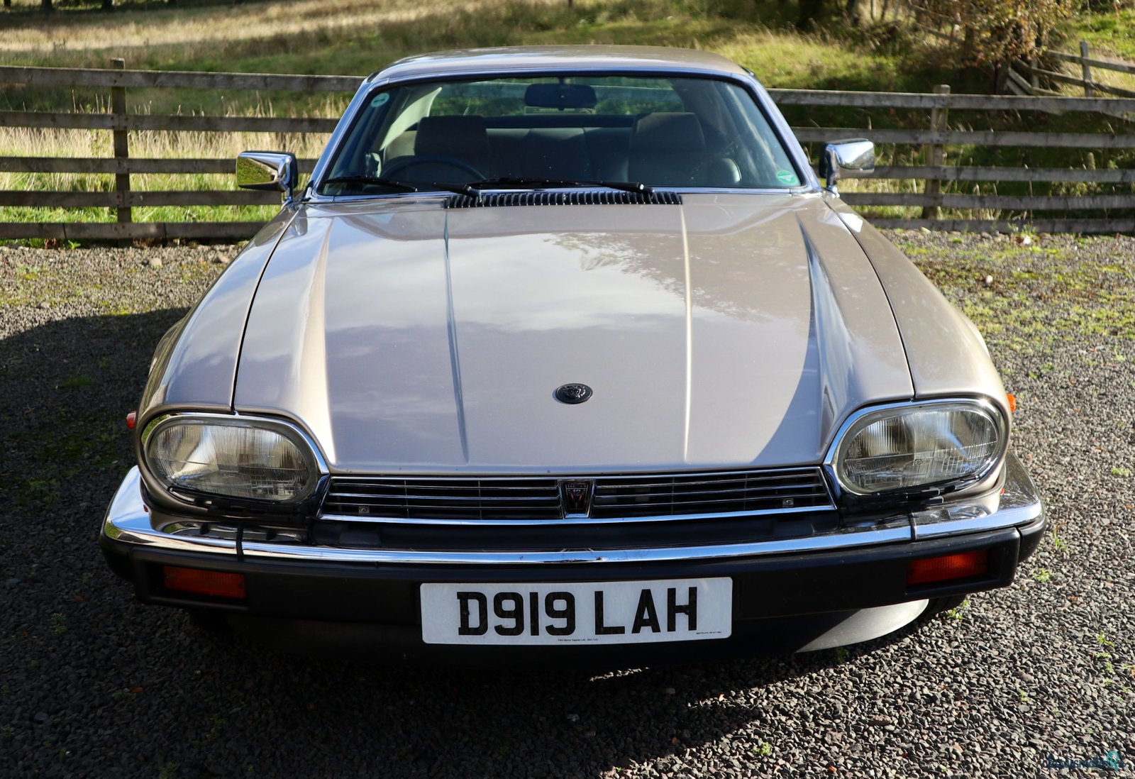 1987' Jaguar Xjs He V12 photo #3