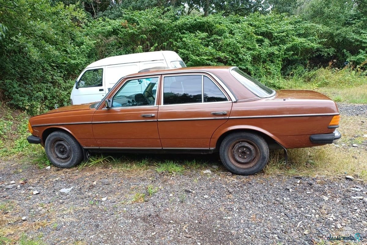 1982' Mercedes-Benz 230 photo #5