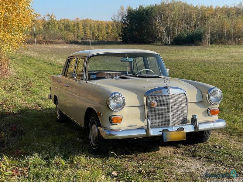 1966' Mercedes-Benz W110 230 photo #6