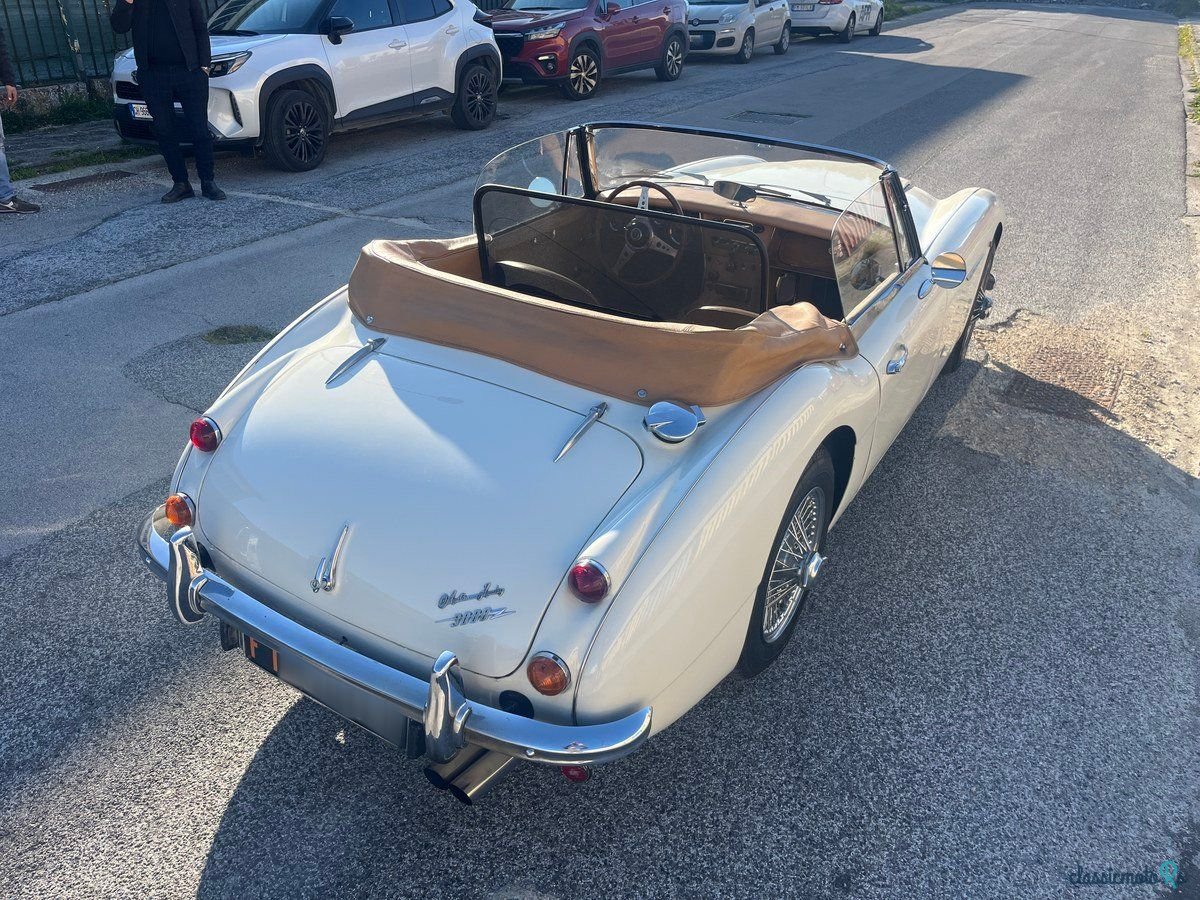 1965' Austin-Healey Bj7 photo #4
