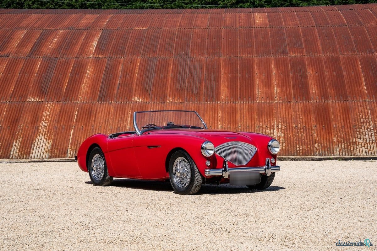 1955' Austin-Healey 100/4 photo #4