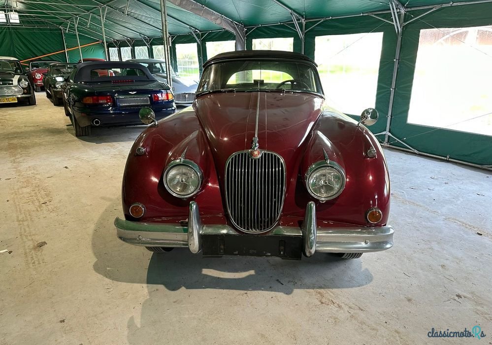 1958' Jaguar XK photo #3