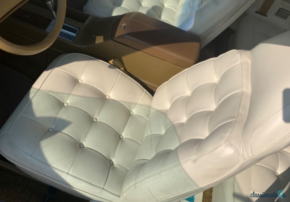 1977' Dodge Charger photo #6