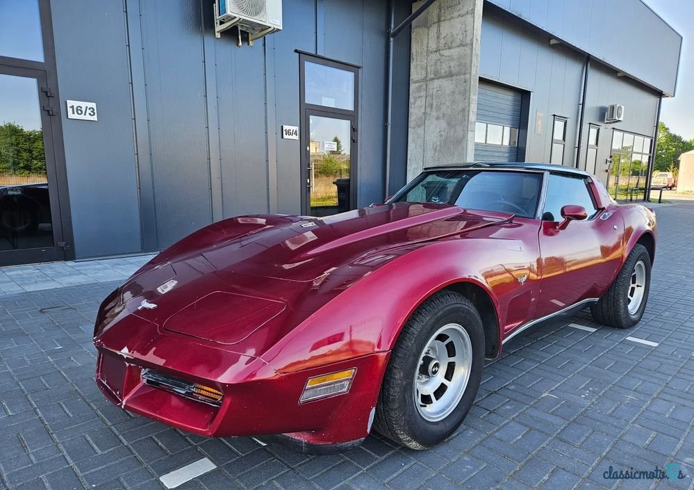 1979' Chevrolet Corvette photo #3