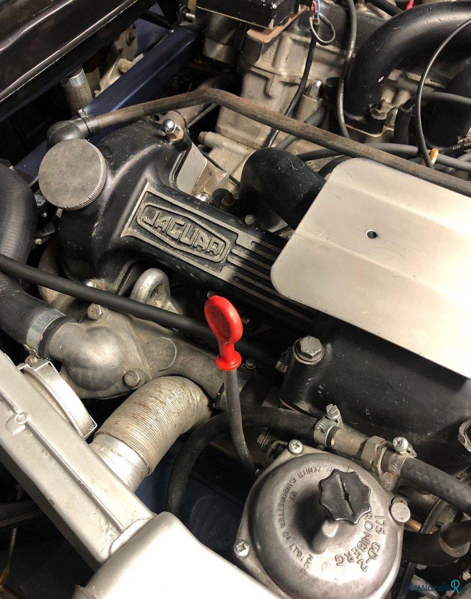 1971' Jaguar E-Type photo #4