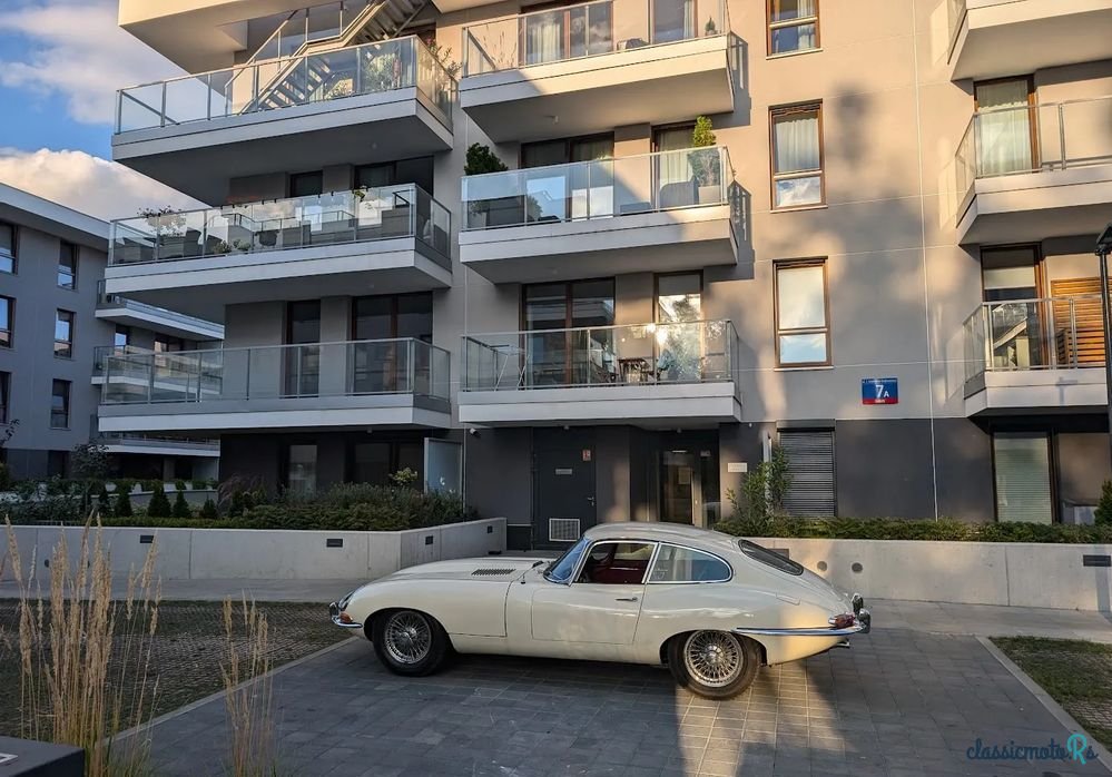 1962' Jaguar E-Type photo #3