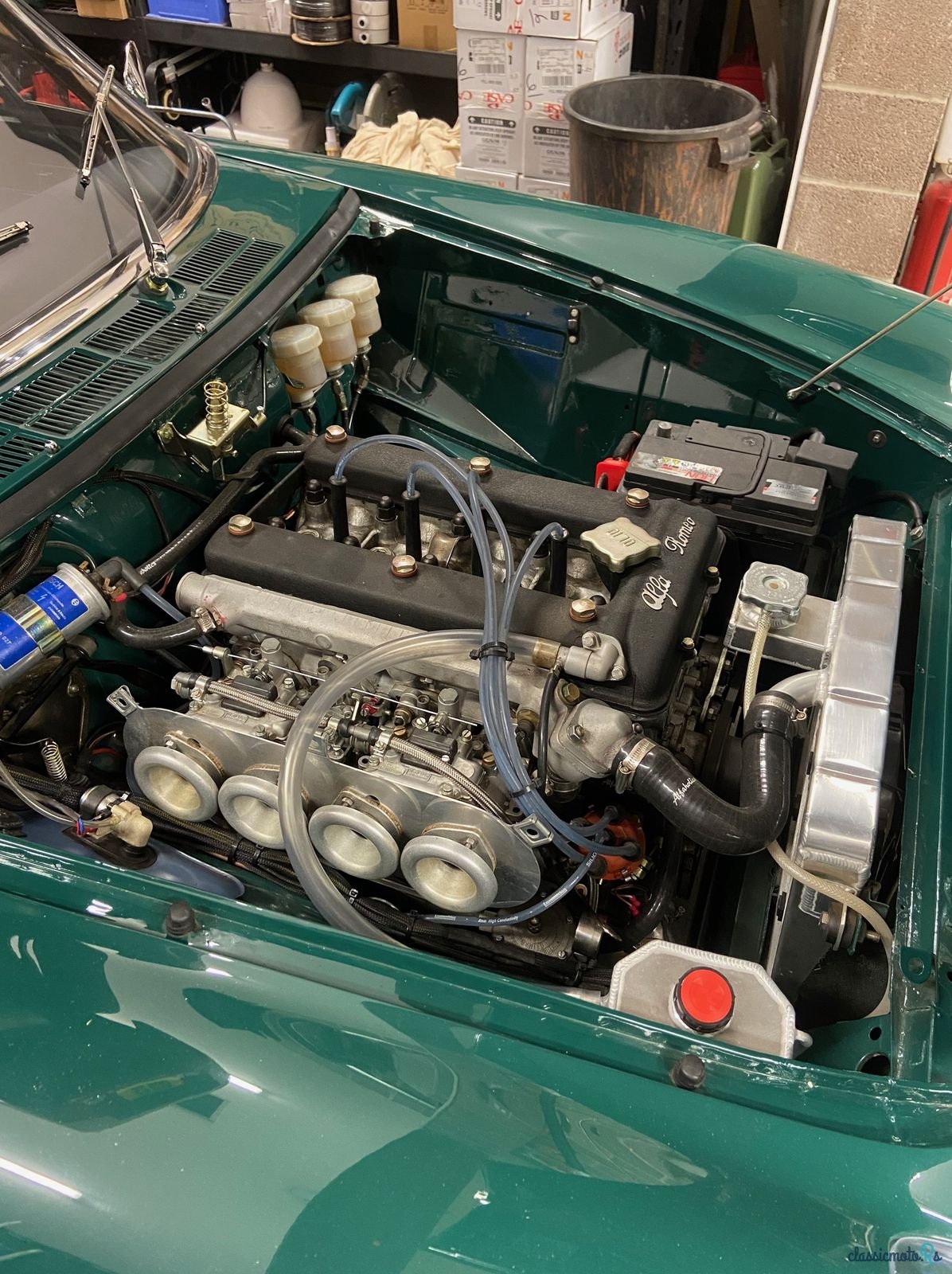 1978' Alfa Romeo 2000 Spider Veloce photo #5