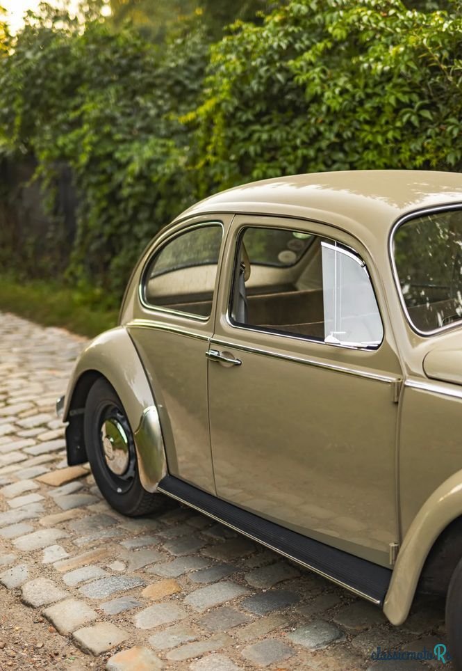 1966' Volkswagen Garbus photo #5