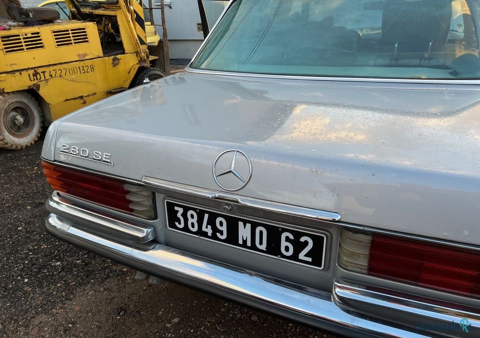 1977' Mercedes-Benz 280 photo #4