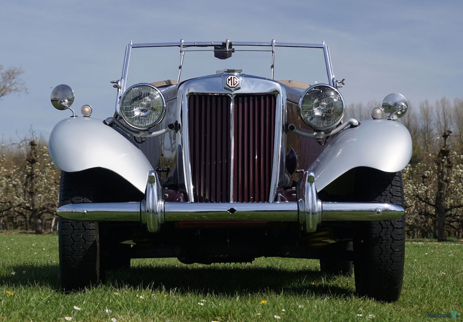 1953' MG Td photo #5