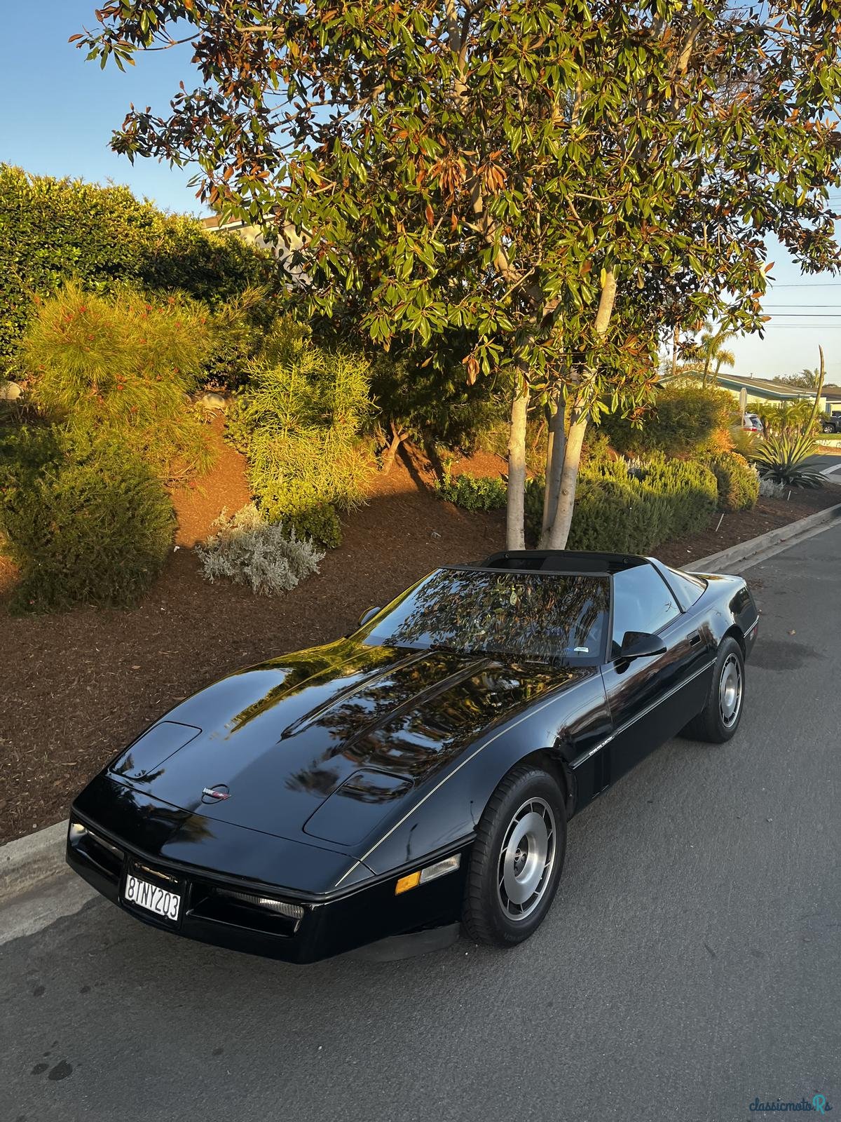 1984' Chevrolet Chevette Stock Original photo #3