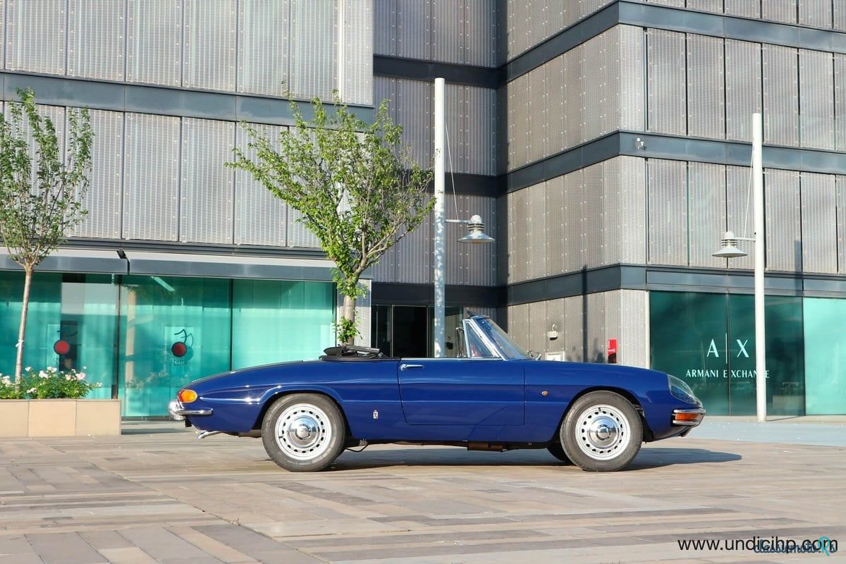 1966' Alfa Romeo Spider Duetto photo #3