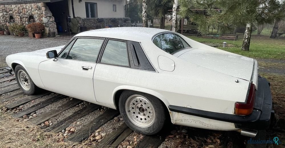 1979' Jaguar XJS photo #3