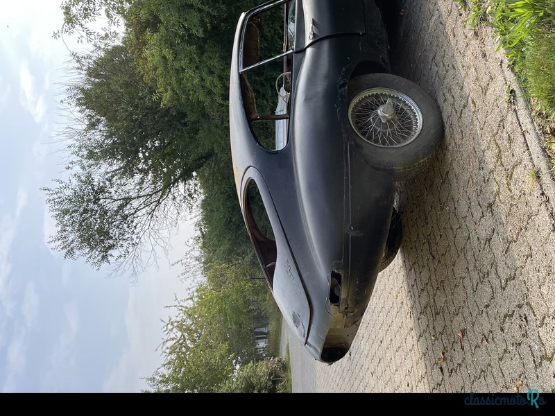 1963' Jaguar E-Type photo #2