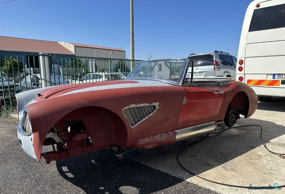 1964' Austin-Healey 3000 photo #6