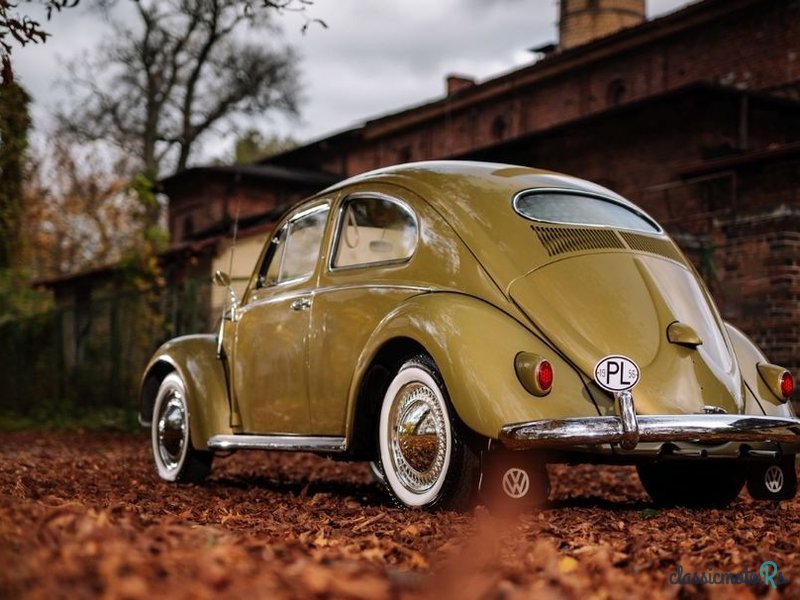 1956' Volkswagen Garbus photo #6