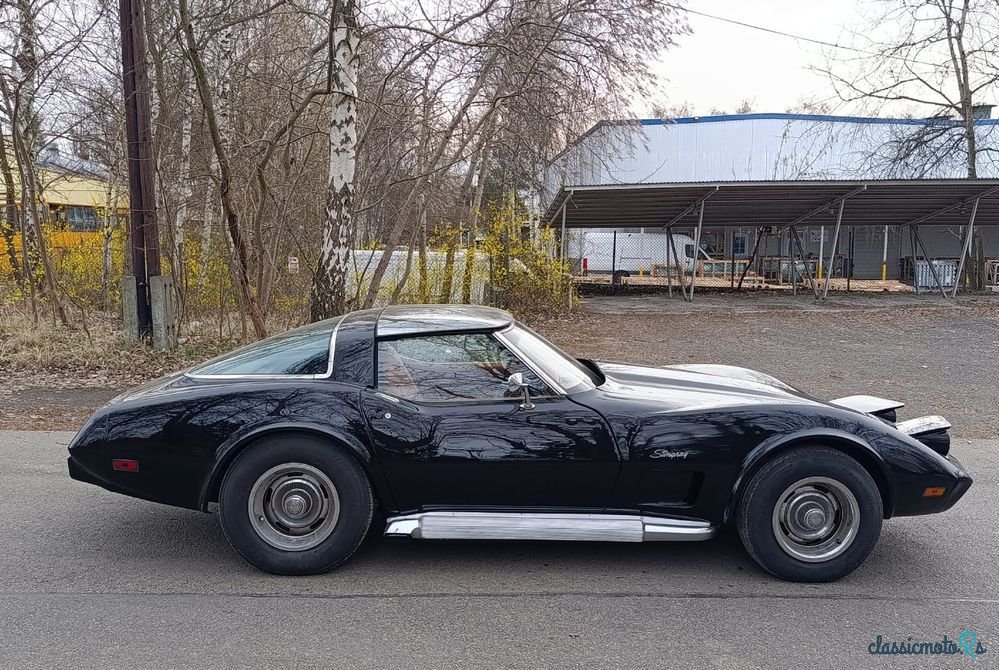 1979' Chevrolet Corvette photo #6