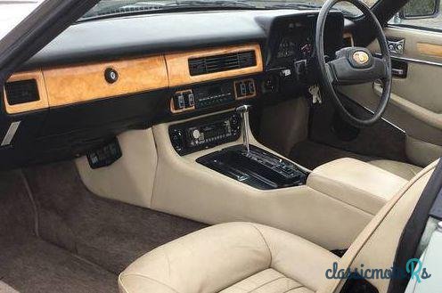 1984' Jaguar XJS photo #2