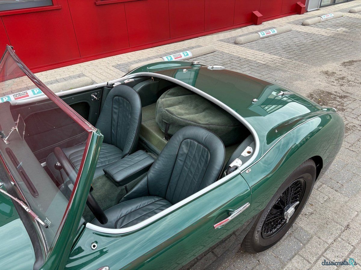 1958' Austin-Healey 100-6 photo #4
