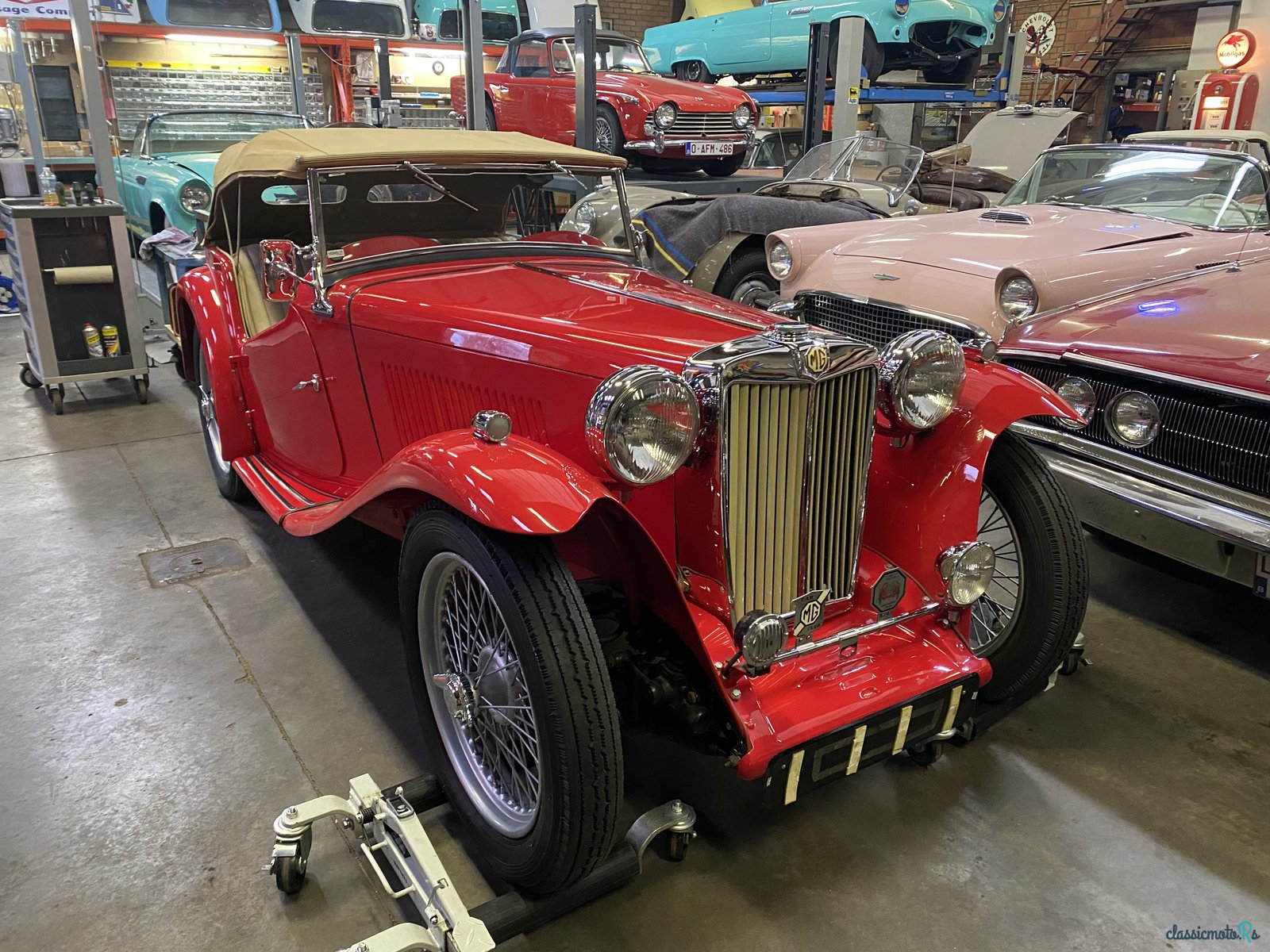 1948' MG TC photo #2