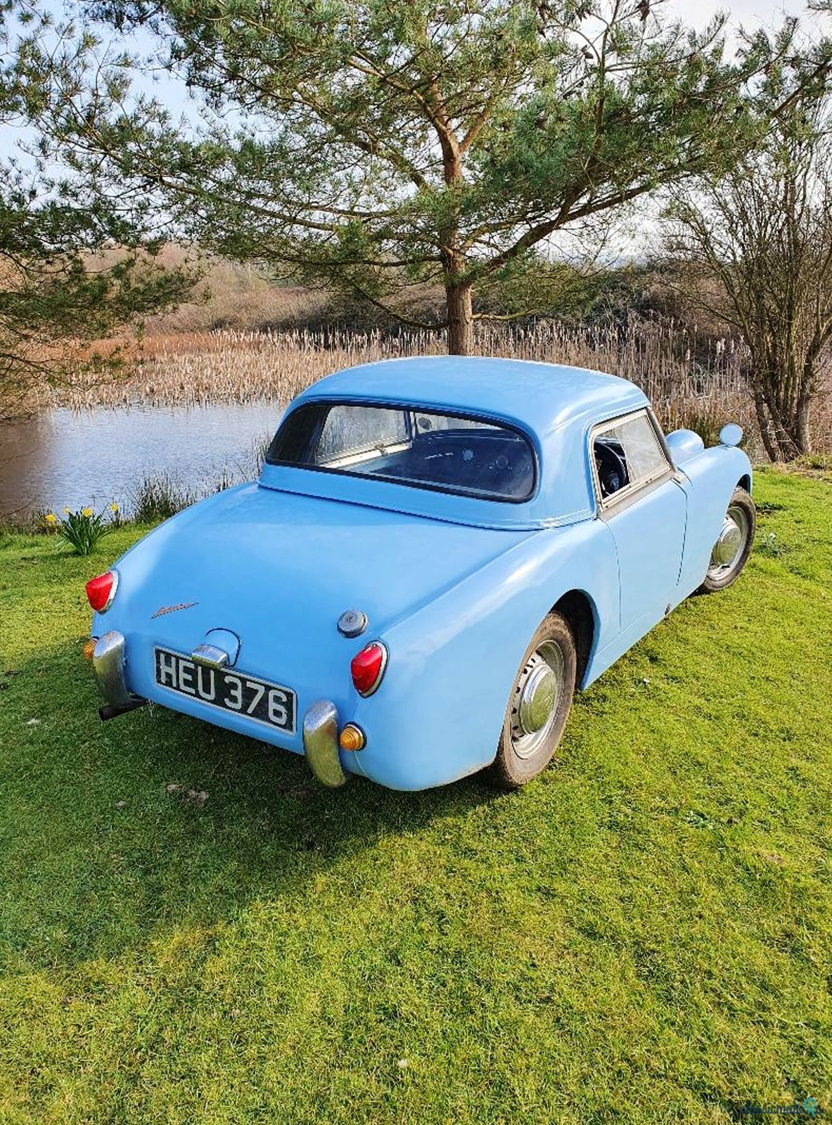 1959' Austin-Healey Sprite photo #3
