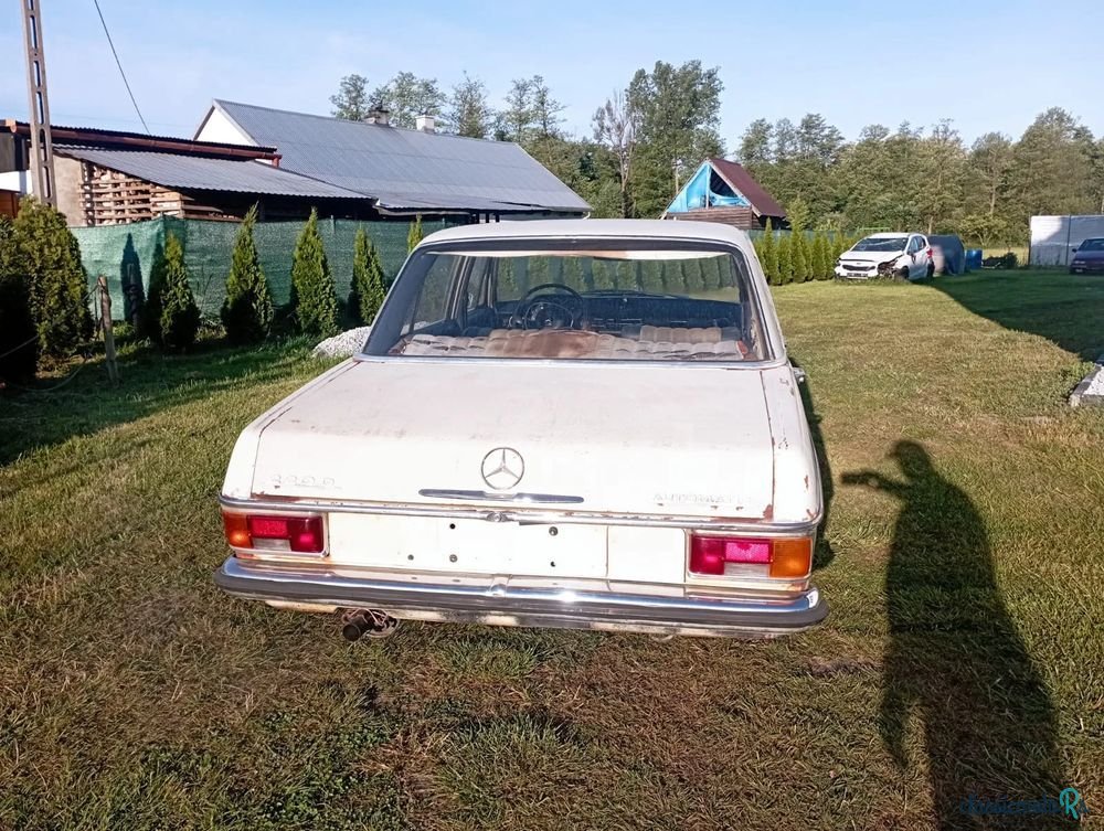 1970' Mercedes-Benz 115 photo #4