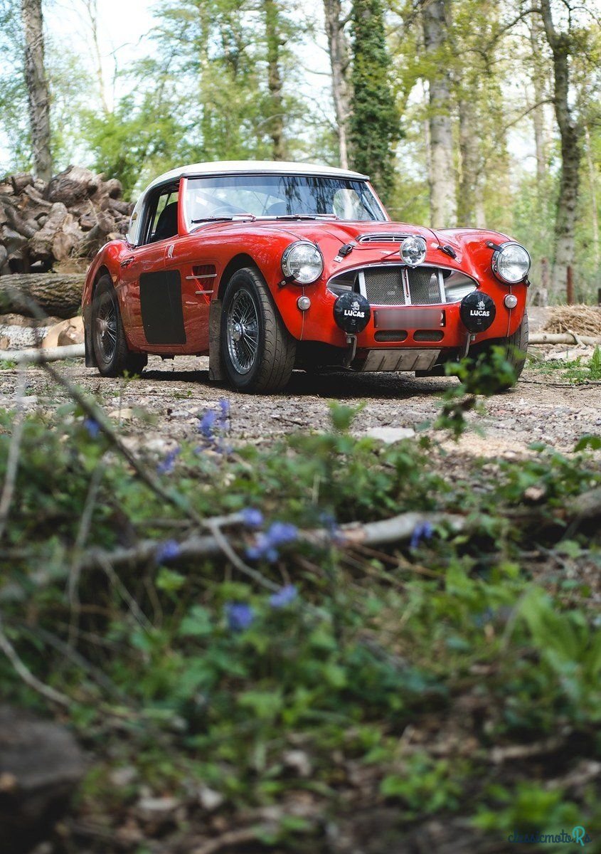 1960' Austin-Healey 3000 photo #6