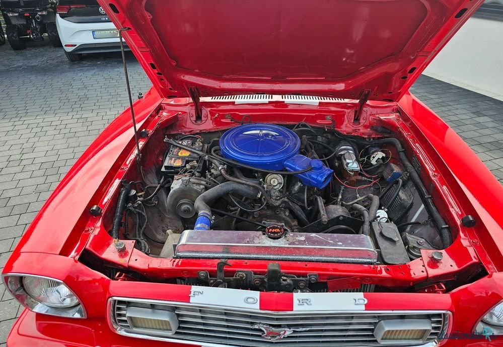 1977' Ford Mustang photo #5