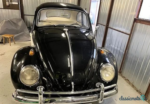 1962' Volkswagen Garbus photo #5