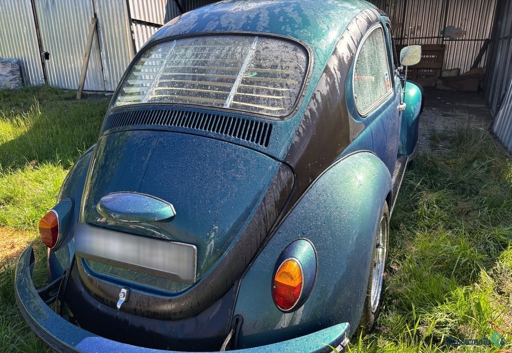 1964' Volkswagen Garbus photo #2