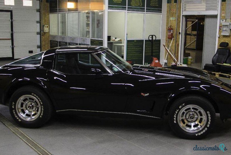 1976' Chevrolet Corvette C3 L82 photo #2