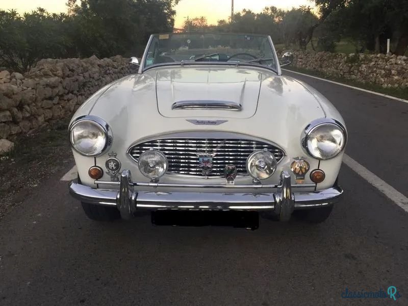 1959' Austin-Healey 100/4 photo #2