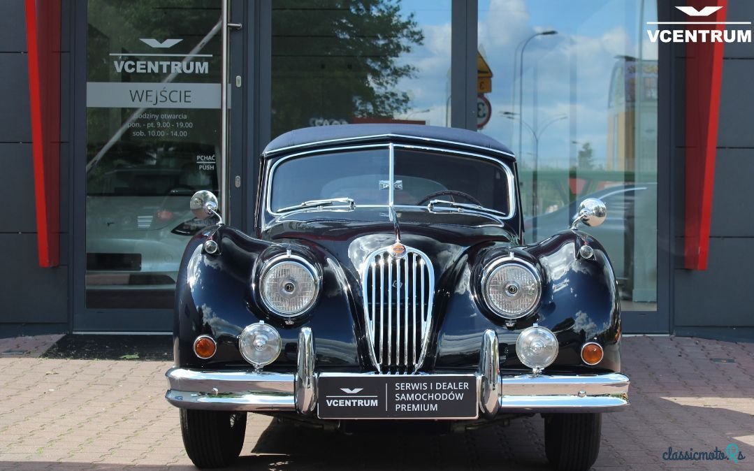 1956' Jaguar XK photo #2