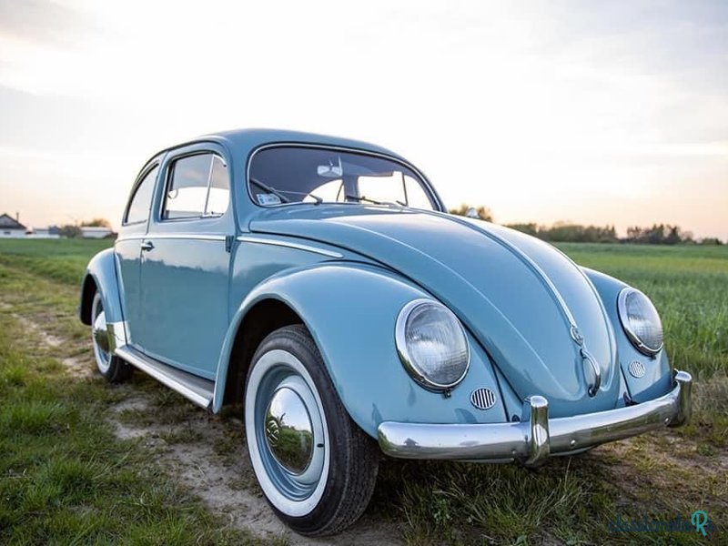 1956' Volkswagen Garbus photo #4