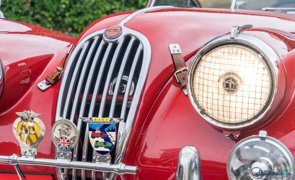 1957' Jaguar XK photo #3