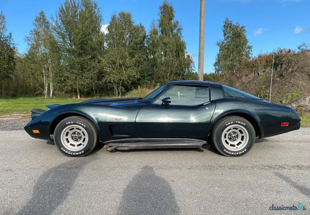 1979' Chevrolet Corvette photo #2