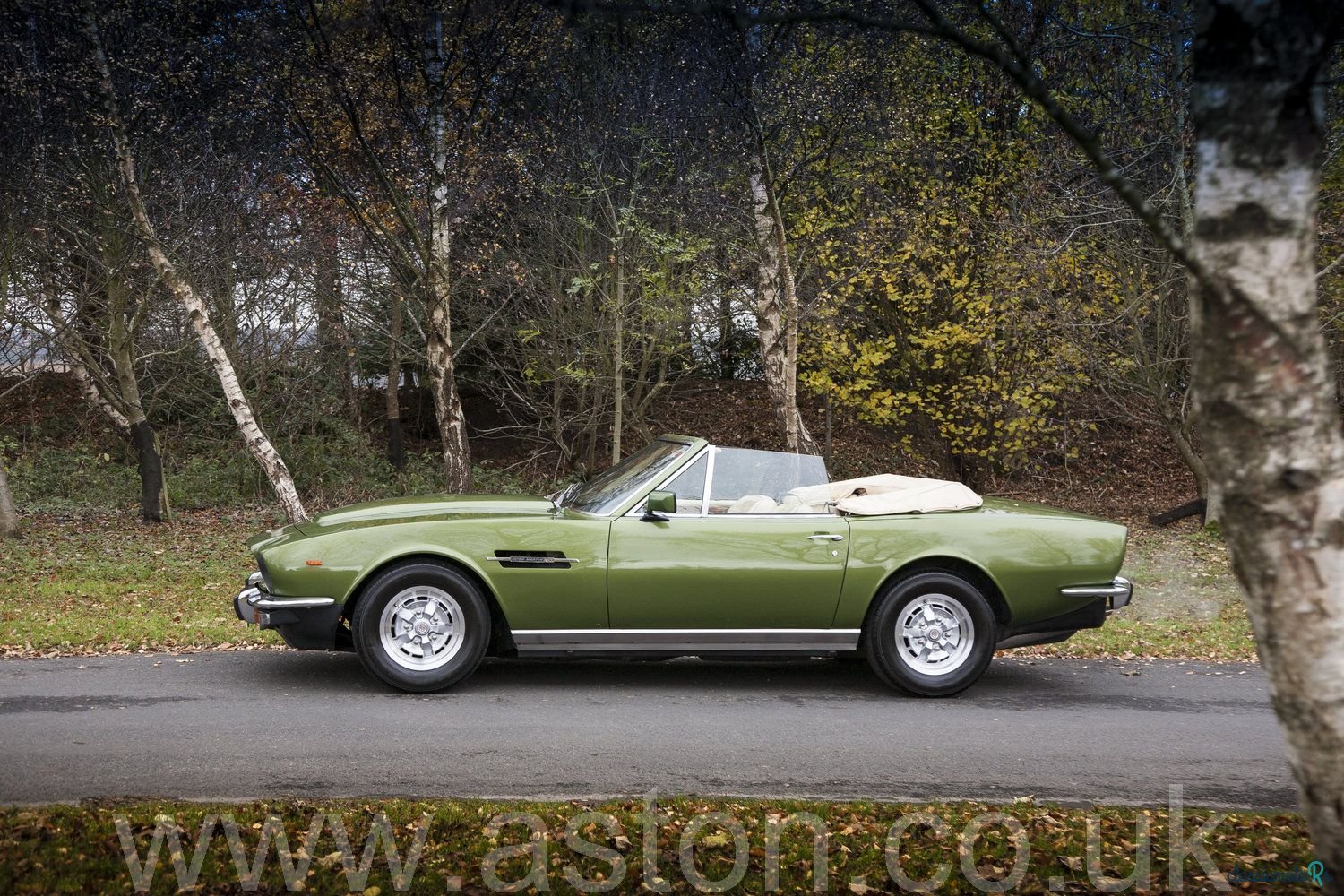 1979' Aston Martin V8 photo #5