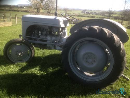 1950' Ferguson photo #1