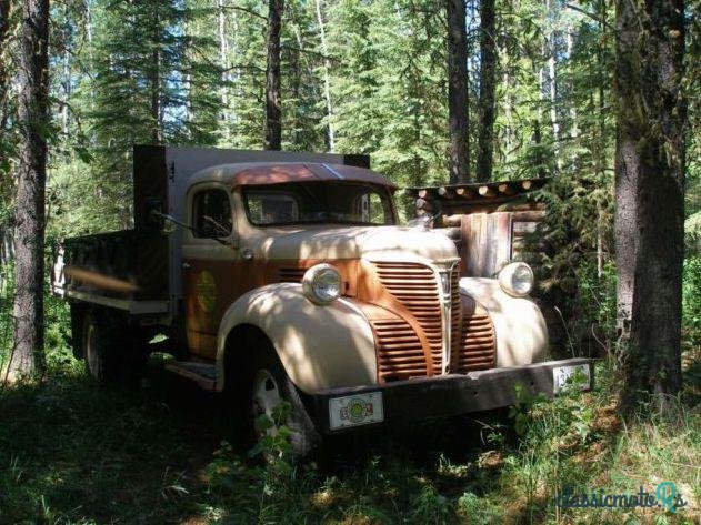 1941' Dodge Truck photo #2