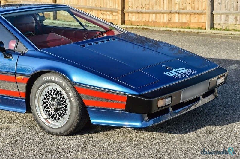 1981' Lotus Esprit photo #6