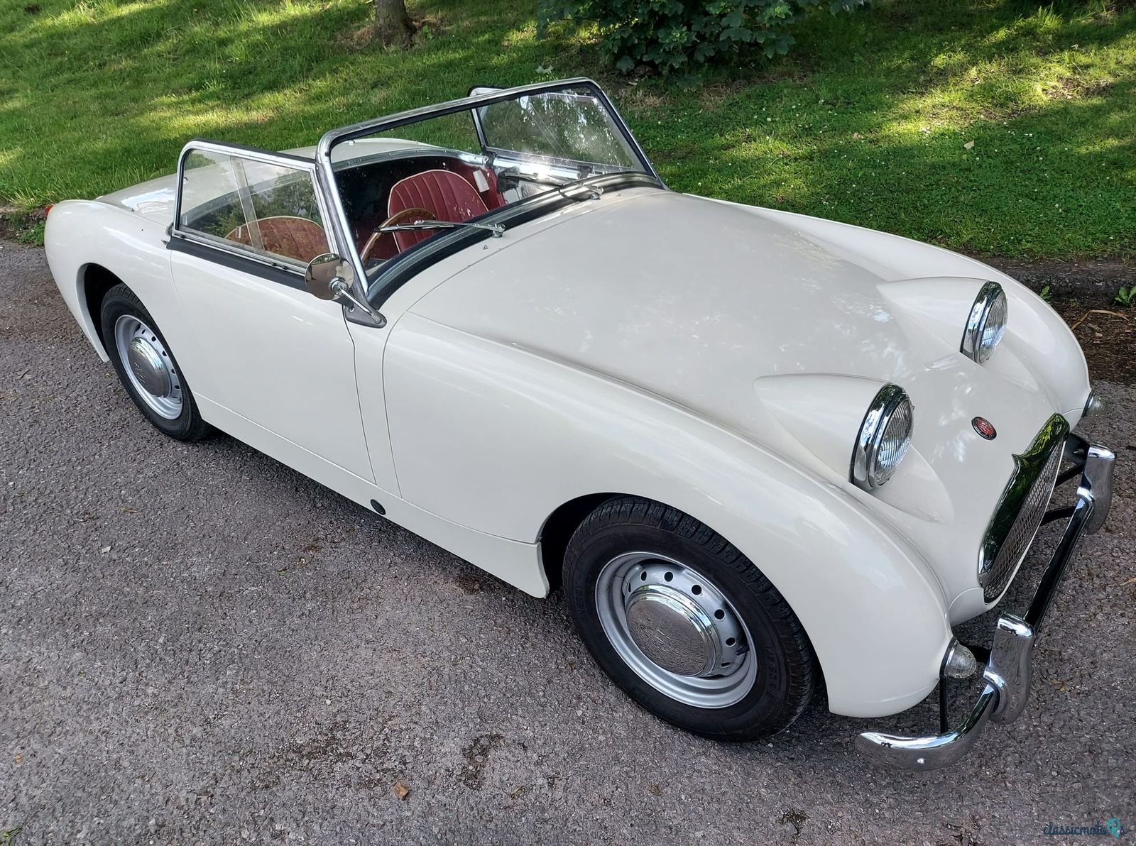 1960' Austin-Healey Sprite Mk1 Frogeye photo #5