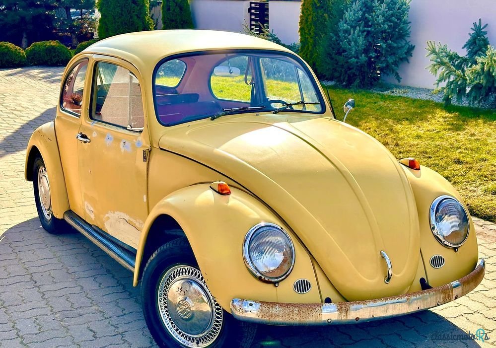 1966' Volkswagen Garbus photo #1