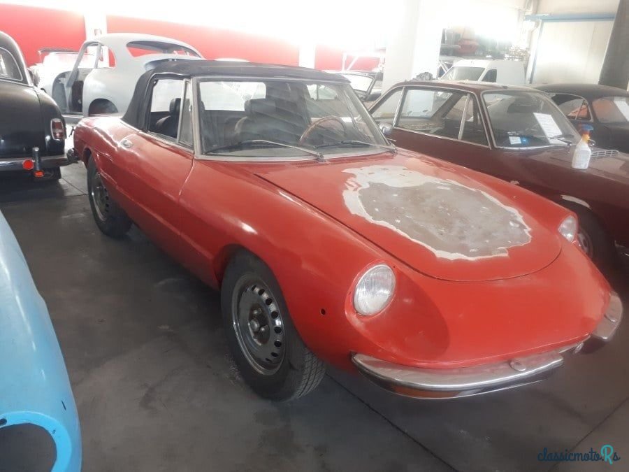 1973' Alfa Romeo Spider photo #1