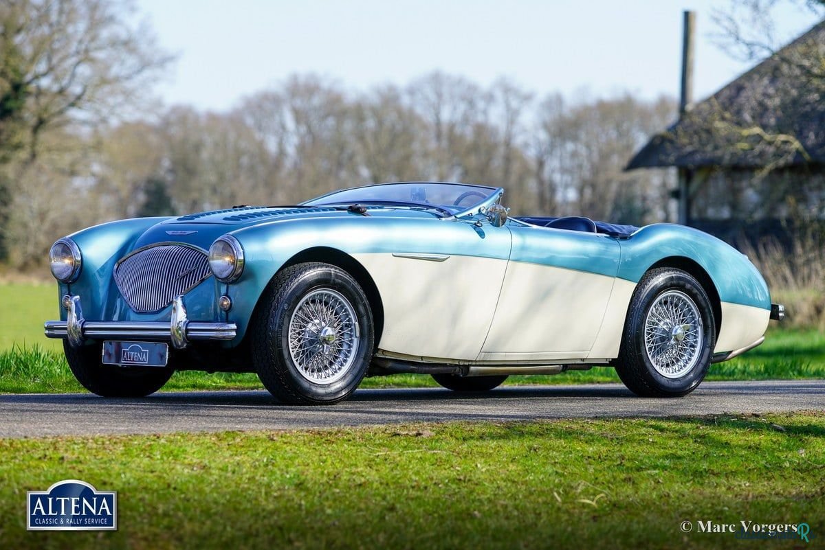 1956' Austin-Healey 100/4 photo #1