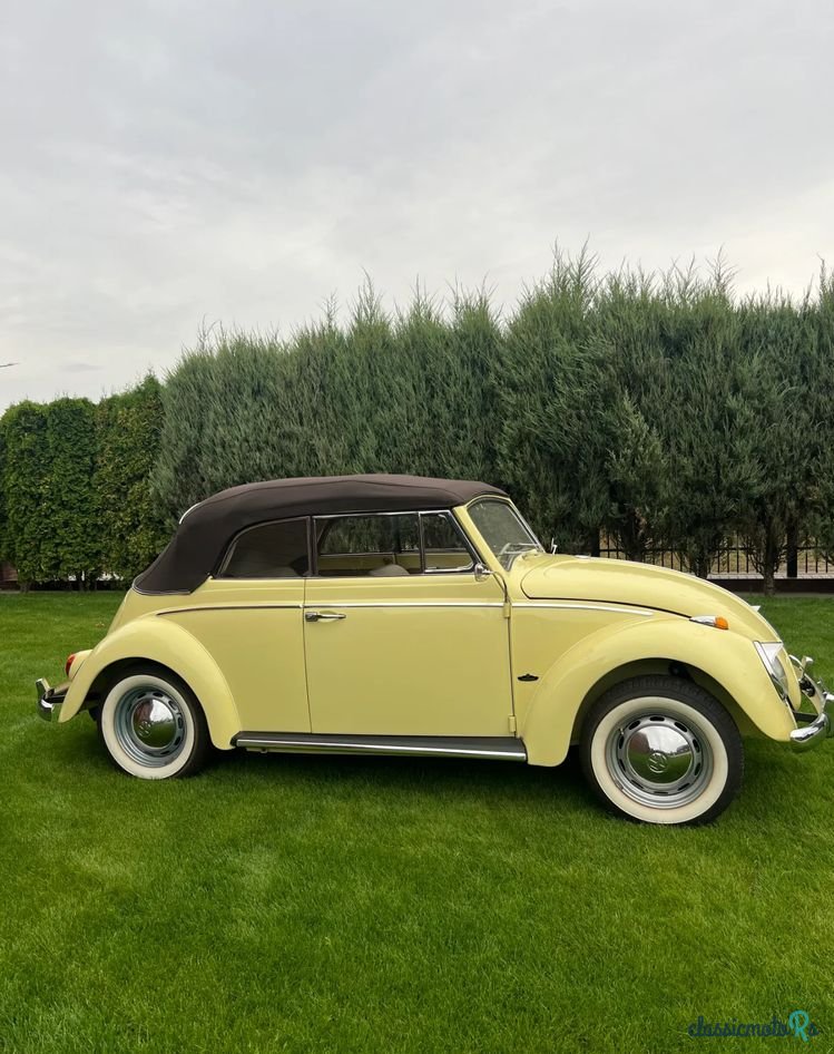 1962' Volkswagen Garbus photo #5