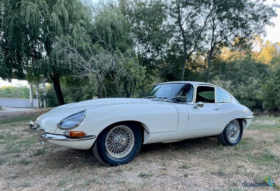 1963' Jaguar E-Type photo #5